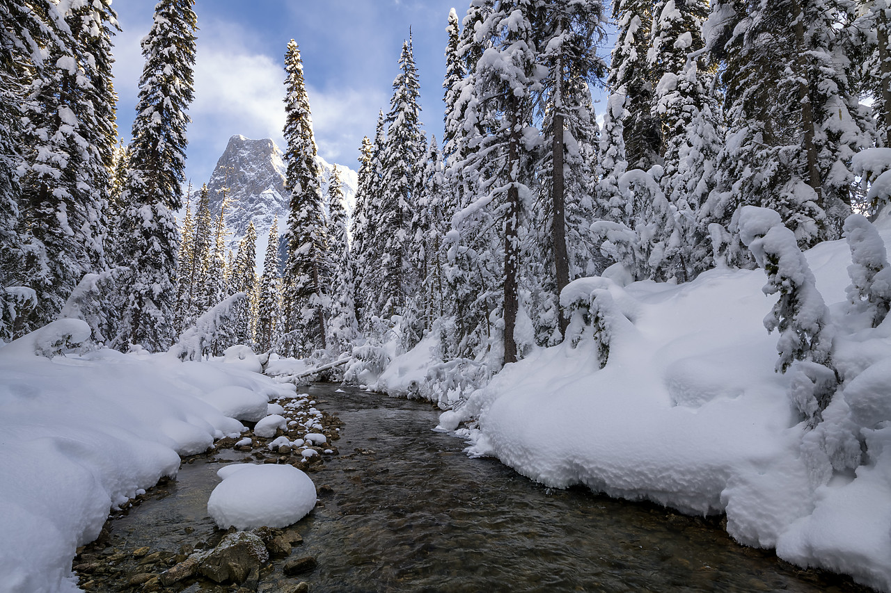 #190154-1 - Mt. Burgess & Stream in Winter, British Columbia, Canada