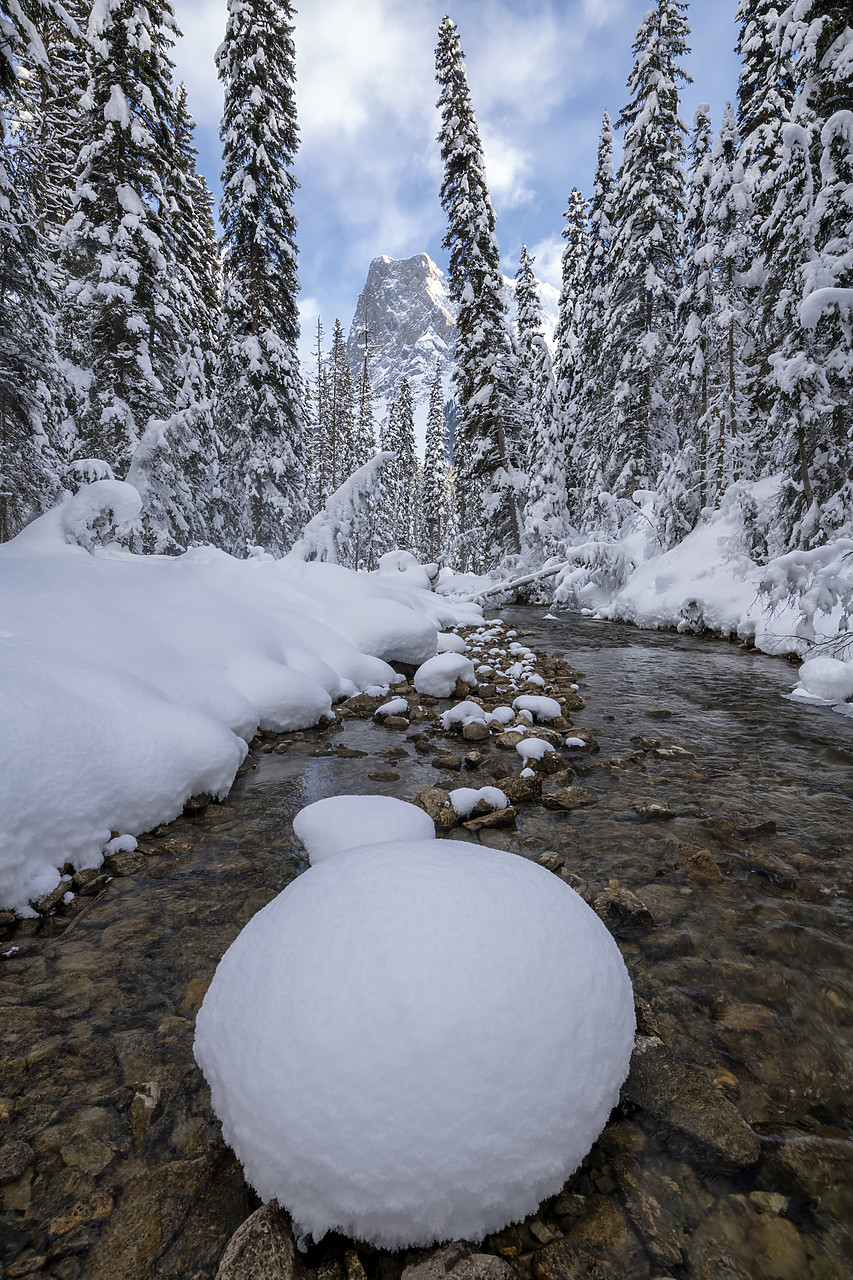 #190155-1 - Mt. Burgess & Stream in Winter, British Columbia, Canada