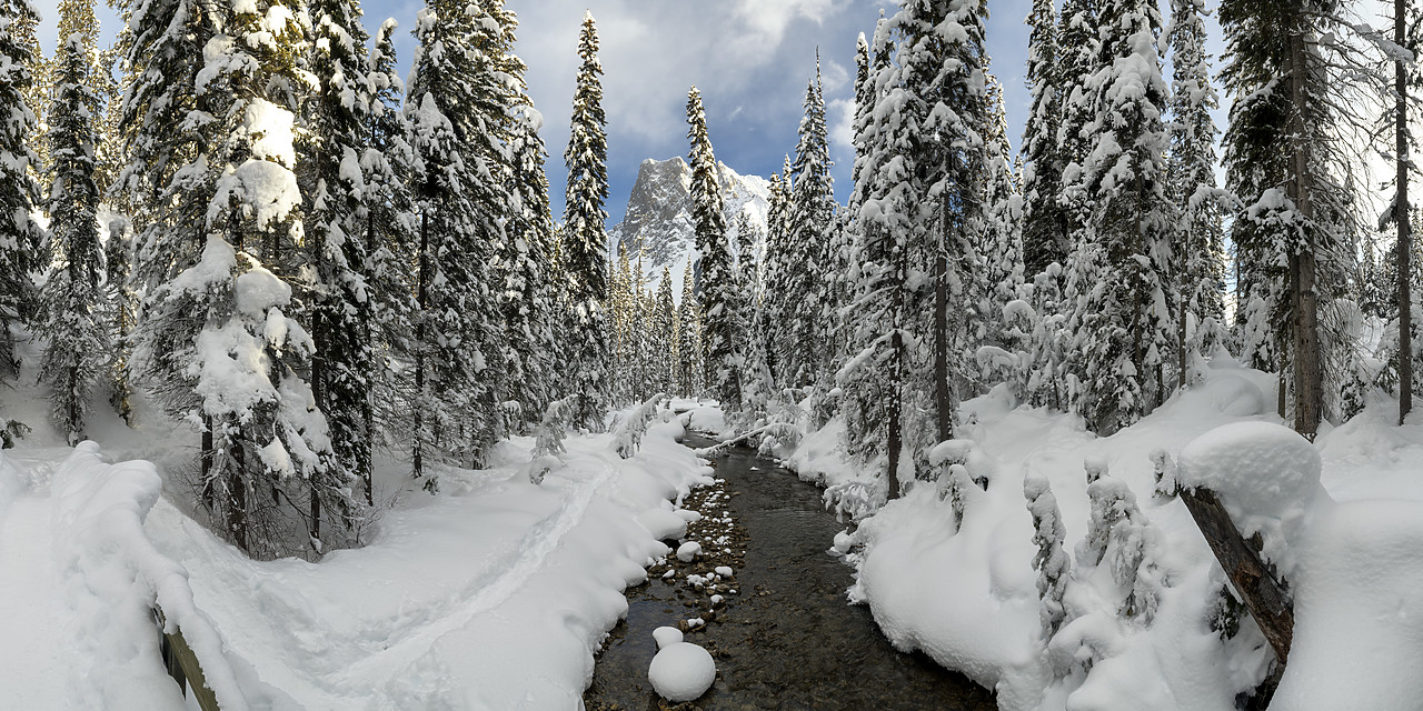#190156-1 - Mt. Burgess & Stream in Winter, British Columbia, Canada