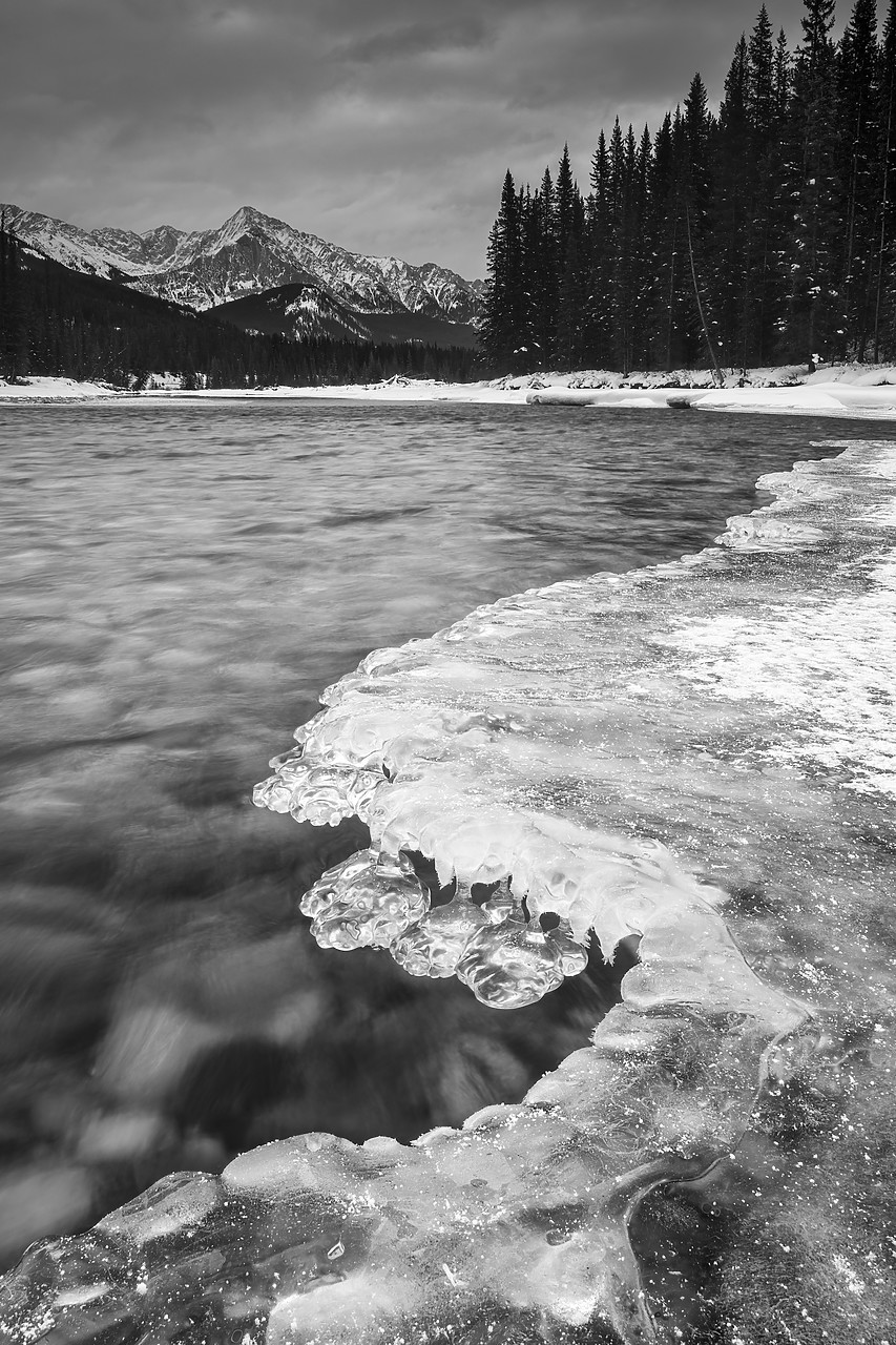 #190166-1 - Bow River in Winter, Alberta, Canada