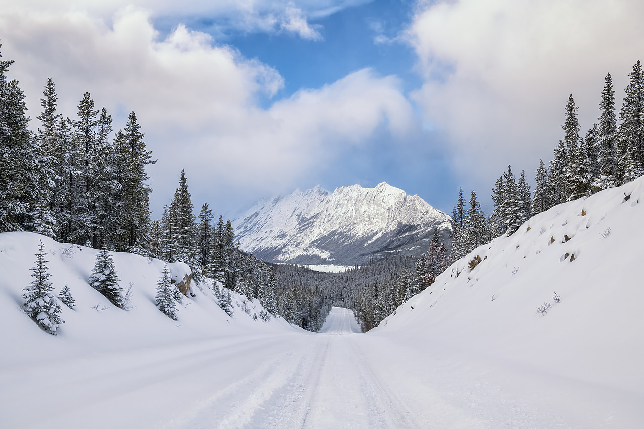 #190187-1 - Road Leading to Colin Range in Winter, Alberta, Canada
