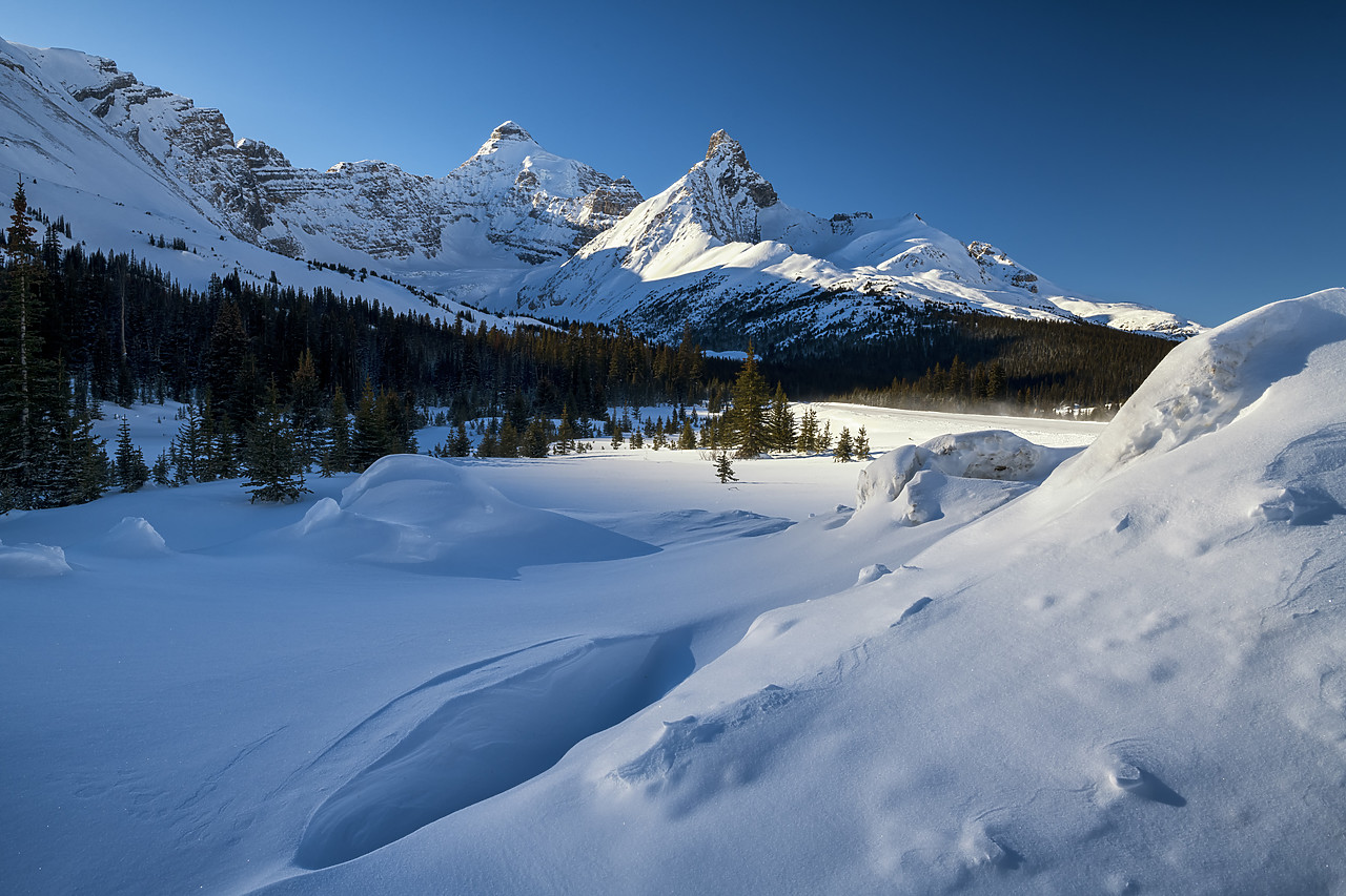 #190191-1 - Mt Athabasca & Hilda Peak, Icefields Parkway, Alberta, Canada