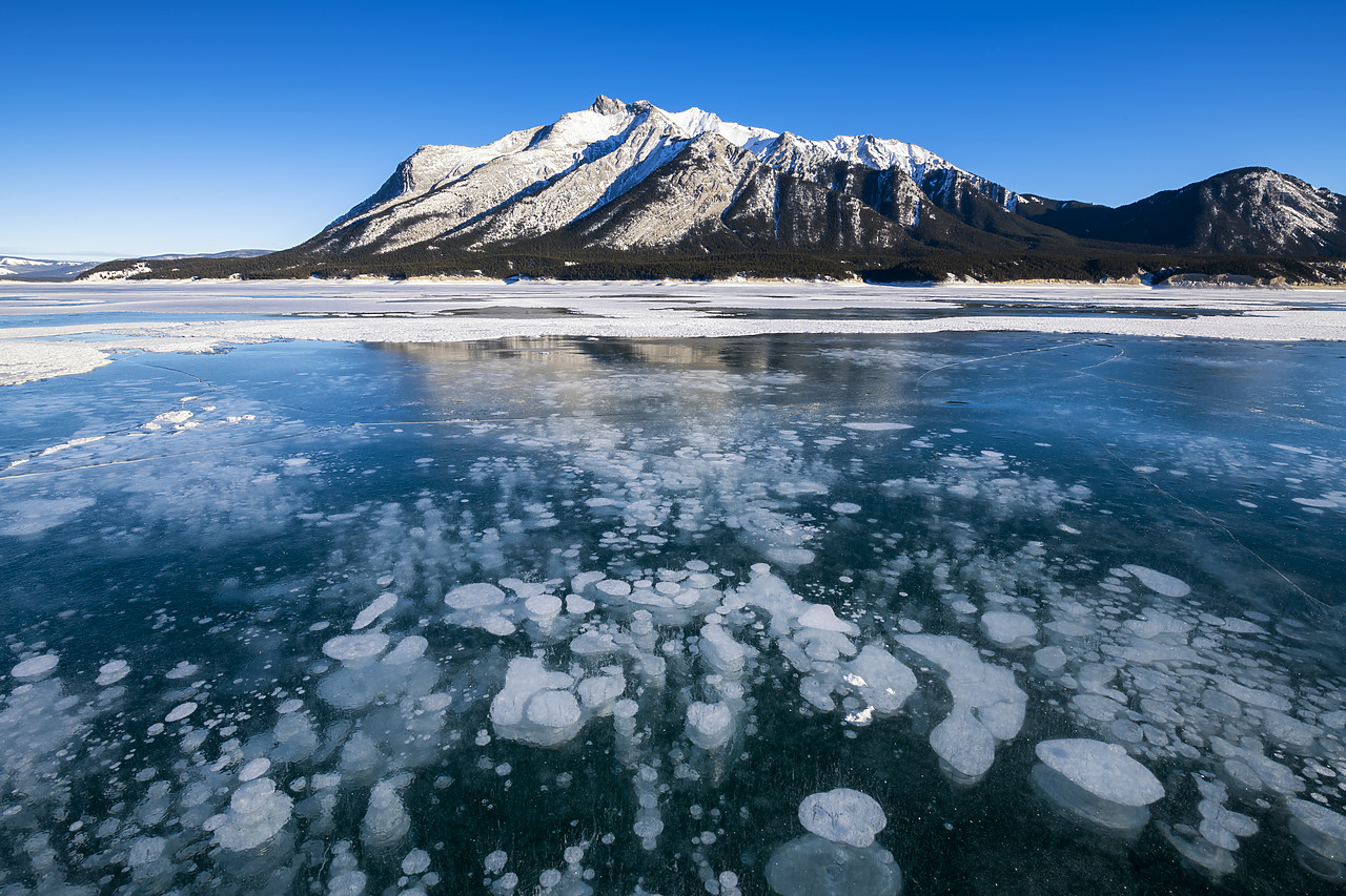 #190193-1 - Frozen Bubbles on Abraham Lake, Alberta, Canada