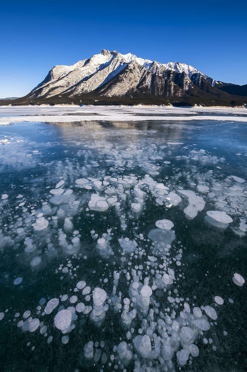 #190193-2 - Frozen Bubbles on Abraham Lake, Alberta, Canada