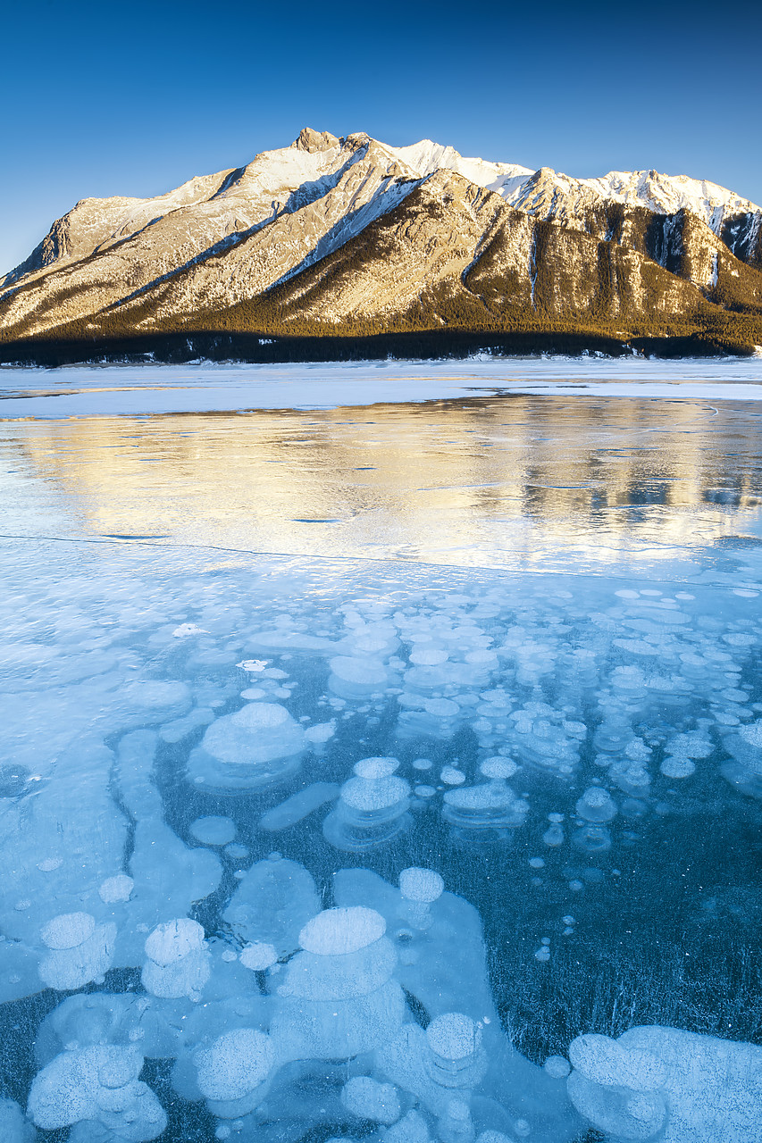 #190198-1 - Frozen Bubbles on Abraham Lake, Alberta, Canada