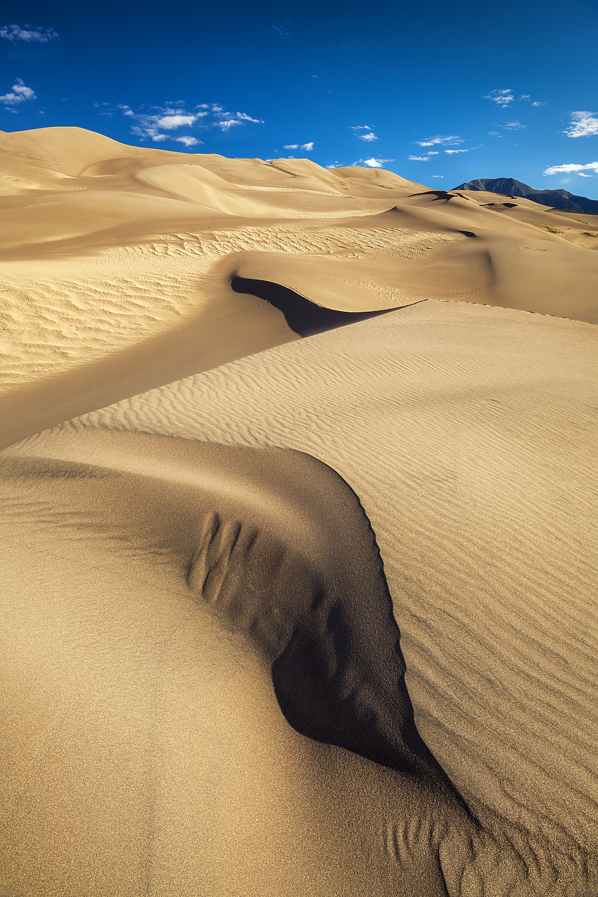 #190248-2 - Great Sand Dunes National Park, Colorado, USA