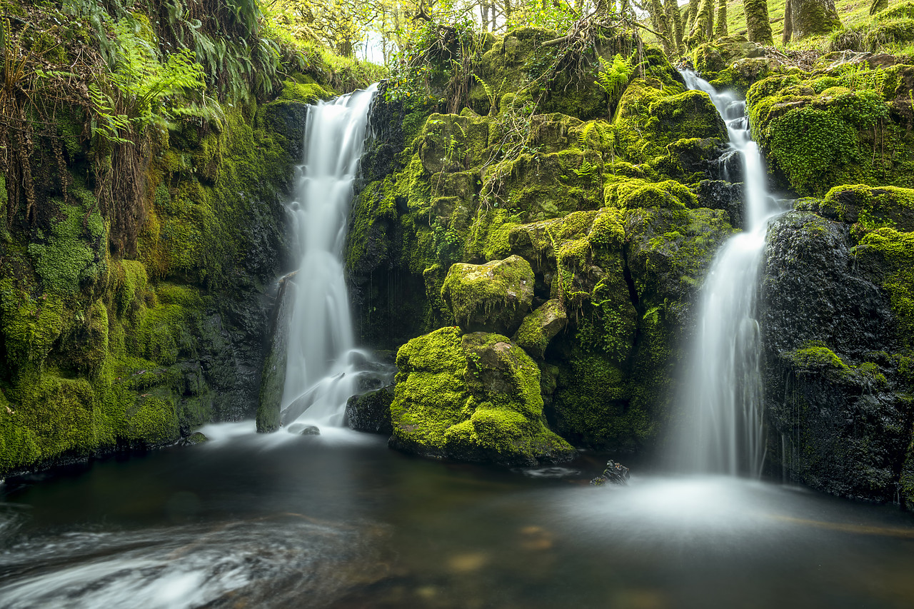 #190284-1 - Venford Falls, Dartmoor National Park, Devon, England