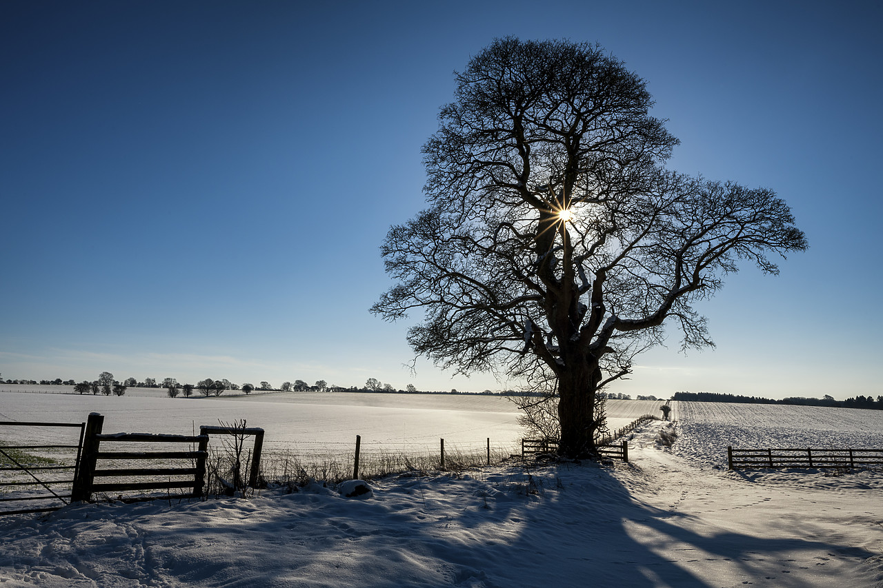 #190291-1 - Winter Landscape, Cotswolds, Gloucestershire, England