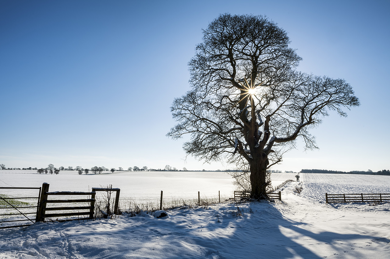 #190292-1 - Winter Landscape, Cotswolds, Gloucestershire, England