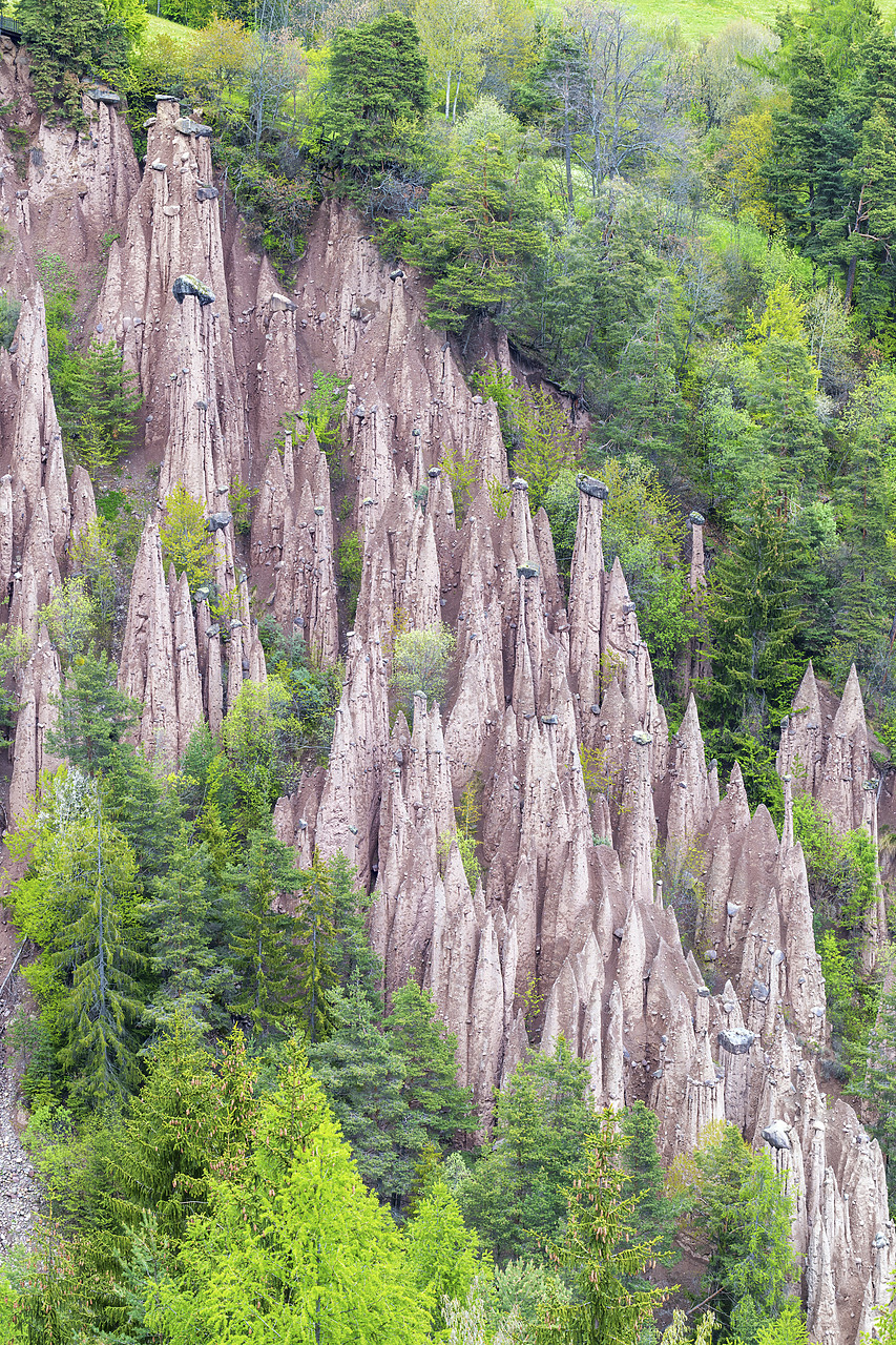 #190357-1 - Earth pyramids, Renon - Ritten, Trentino Alto Adige - South Tyrol, Italy