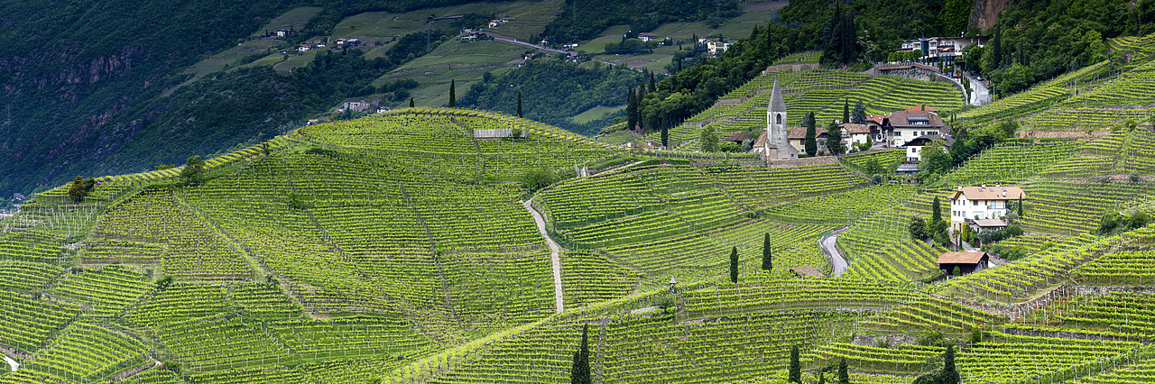 #190358-1 - Church in Vineyards, Trentino Alto Adige - South Tyrol, Italy