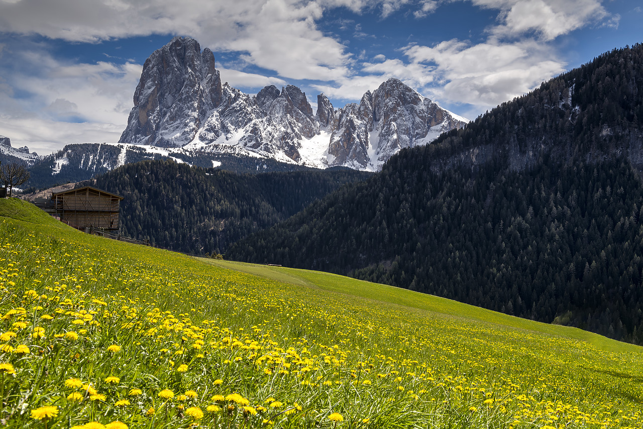 #190359-1 - Sassolungo Langkofel Group,  Dolomites, Ortisei, Trentino, Italy