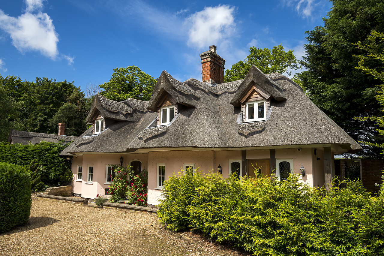 #190440-1 - Thatched Cottage, Norfolk, England