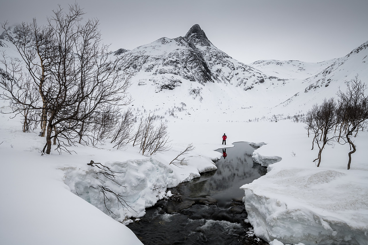 #190453-1 - Man in Red Coat Looking at Tverrfjellet in Winter, Senja, Norway