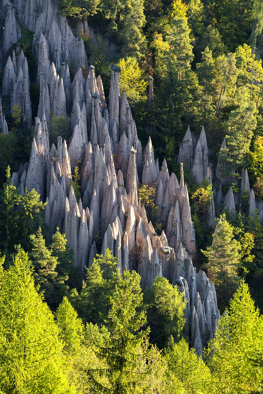 #190542-1 - Earth pyramids, Renon- Ritten, South Tyrol, Italy