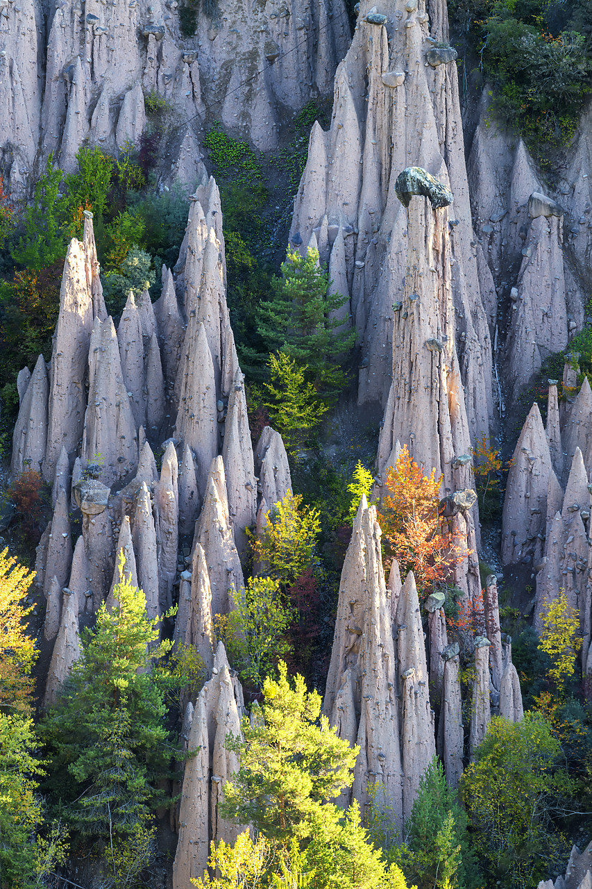 #190543-1 - Earth pyramids, Renon- Ritten, South Tyrol, Italy