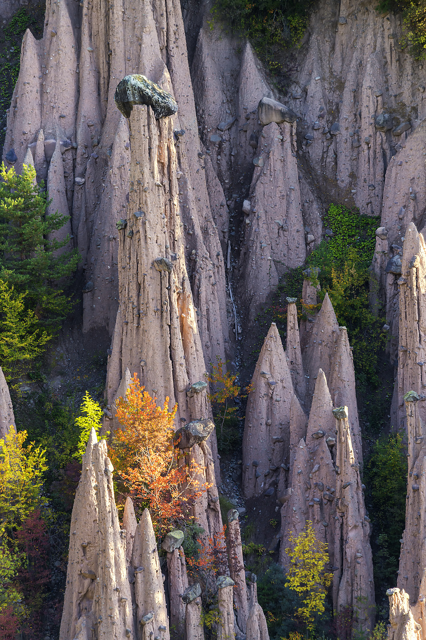 #190544-1 - Earth pyramids, Renon- Ritten, South Tyrol, Italy