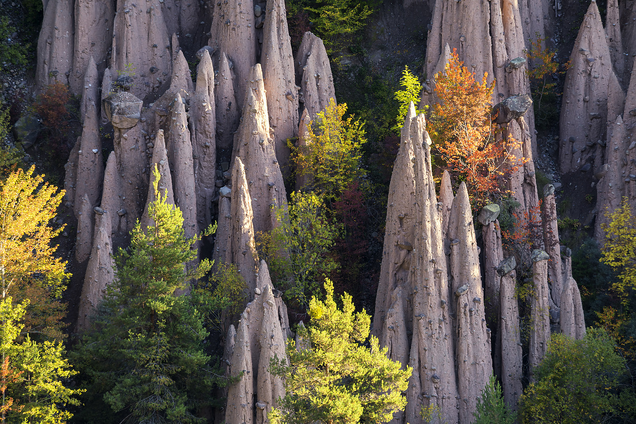 #190545-1 - Earth pyramids, Renon- Ritten, South Tyrol, Italy