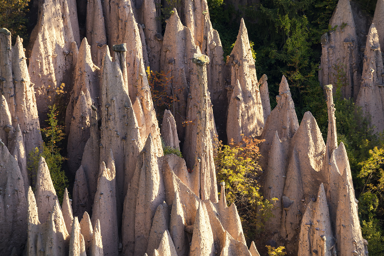 #190546-1 - Earth pyramids, Renon- Ritten, South Tyrol, Italy