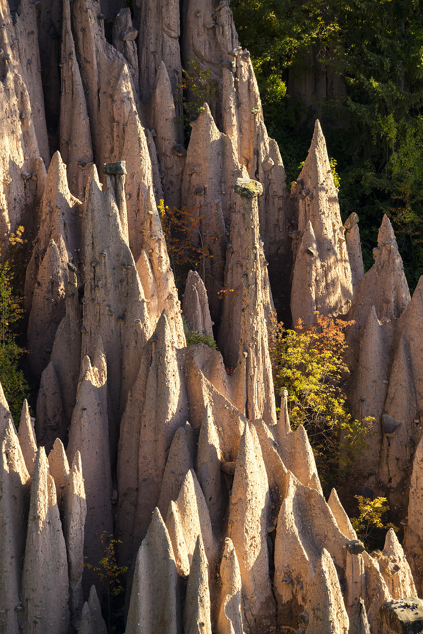 #190546-2 - Earth pyramids, Renon- Ritten, South Tyrol, Italy