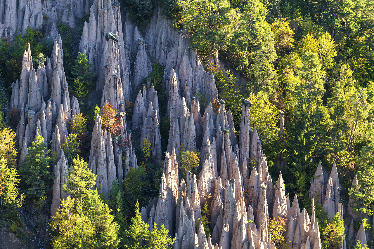 #190547-1 - Earth pyramids, Renon- Ritten, South Tyrol, Italy