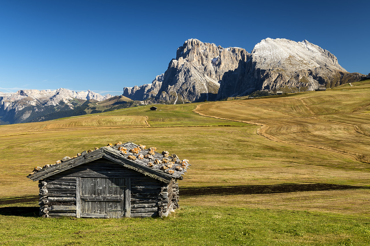 #190551-1 - Alpe di Siusi with view of Sassolungo and Sassopiatto, Dolomites, Italy