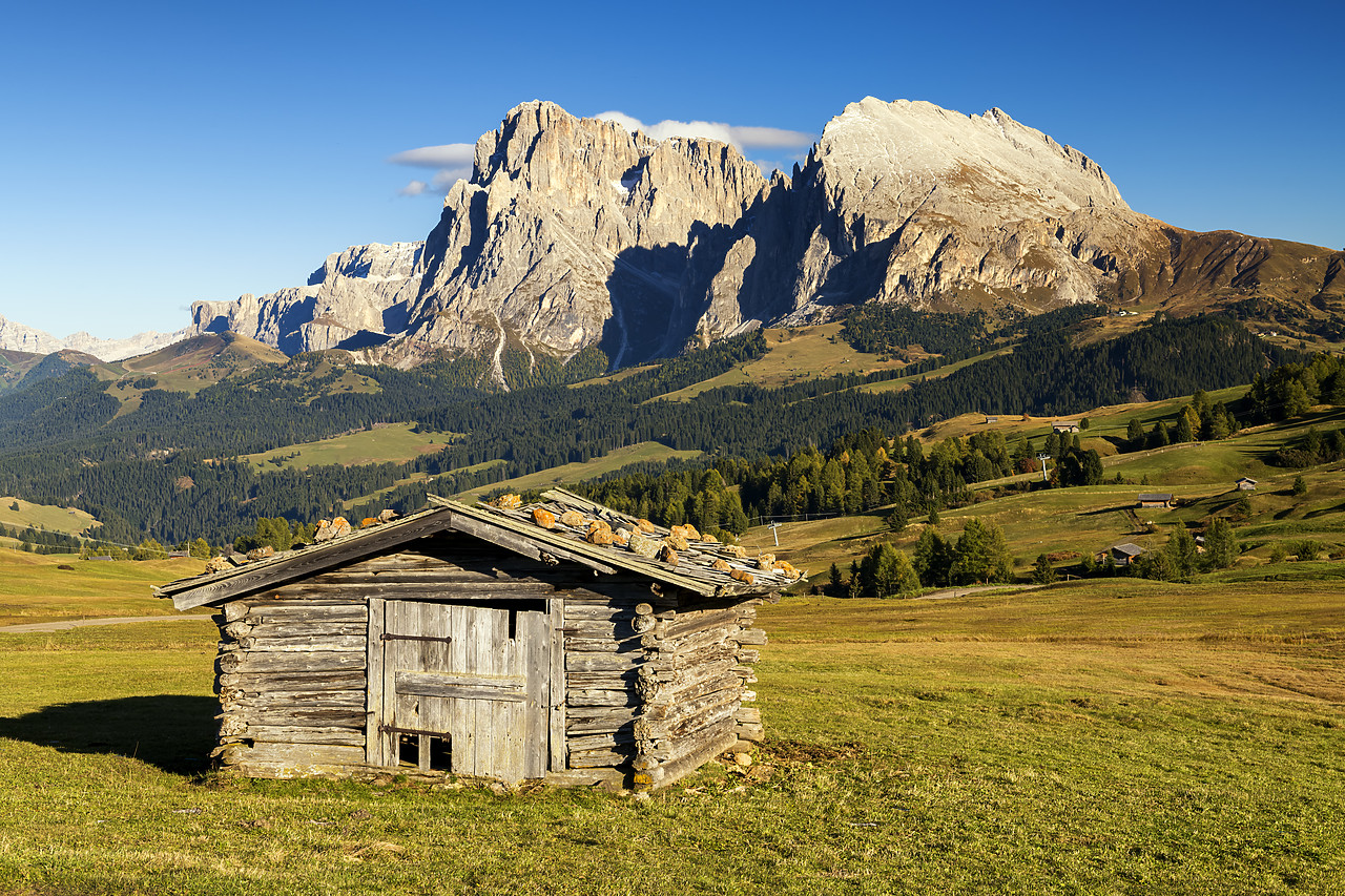 #190552-1 - Alpe di Siusi with view of Sassolungo and Sassopiatto, Dolomites, Italy