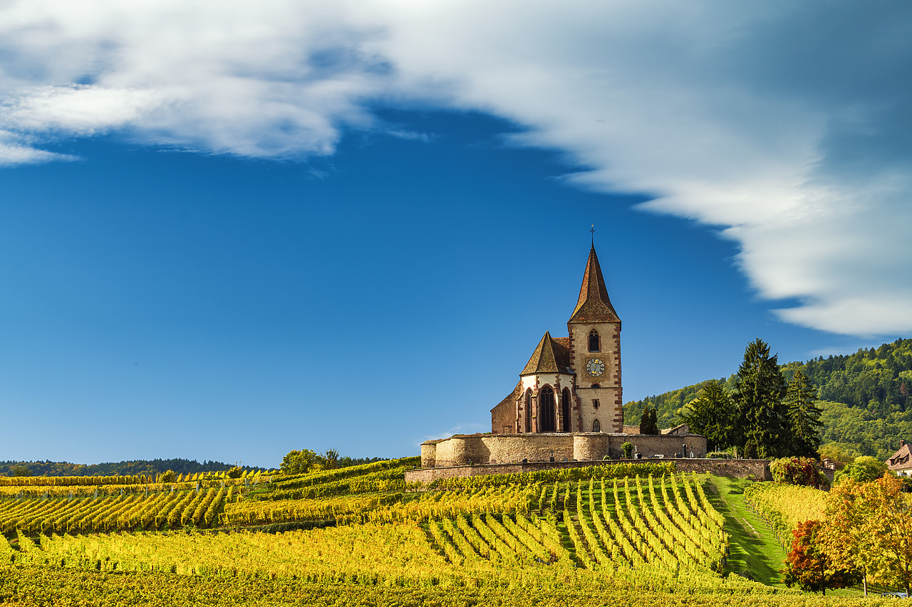 #190562-1 - Church & Vineyards in Autumn, Hunawihr, Alsace, Francewihr, Alsace, France