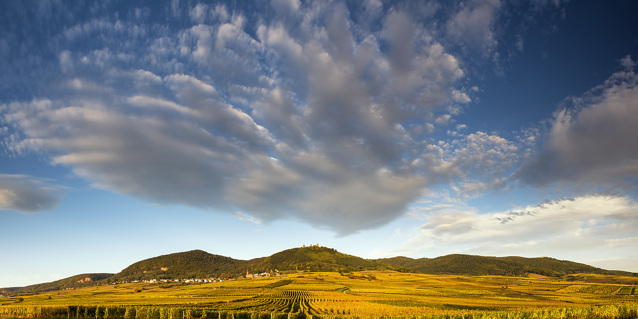 #190564-1 - Cloudscape over Vineyards in Autumn, Ribeauville, Alsace, France