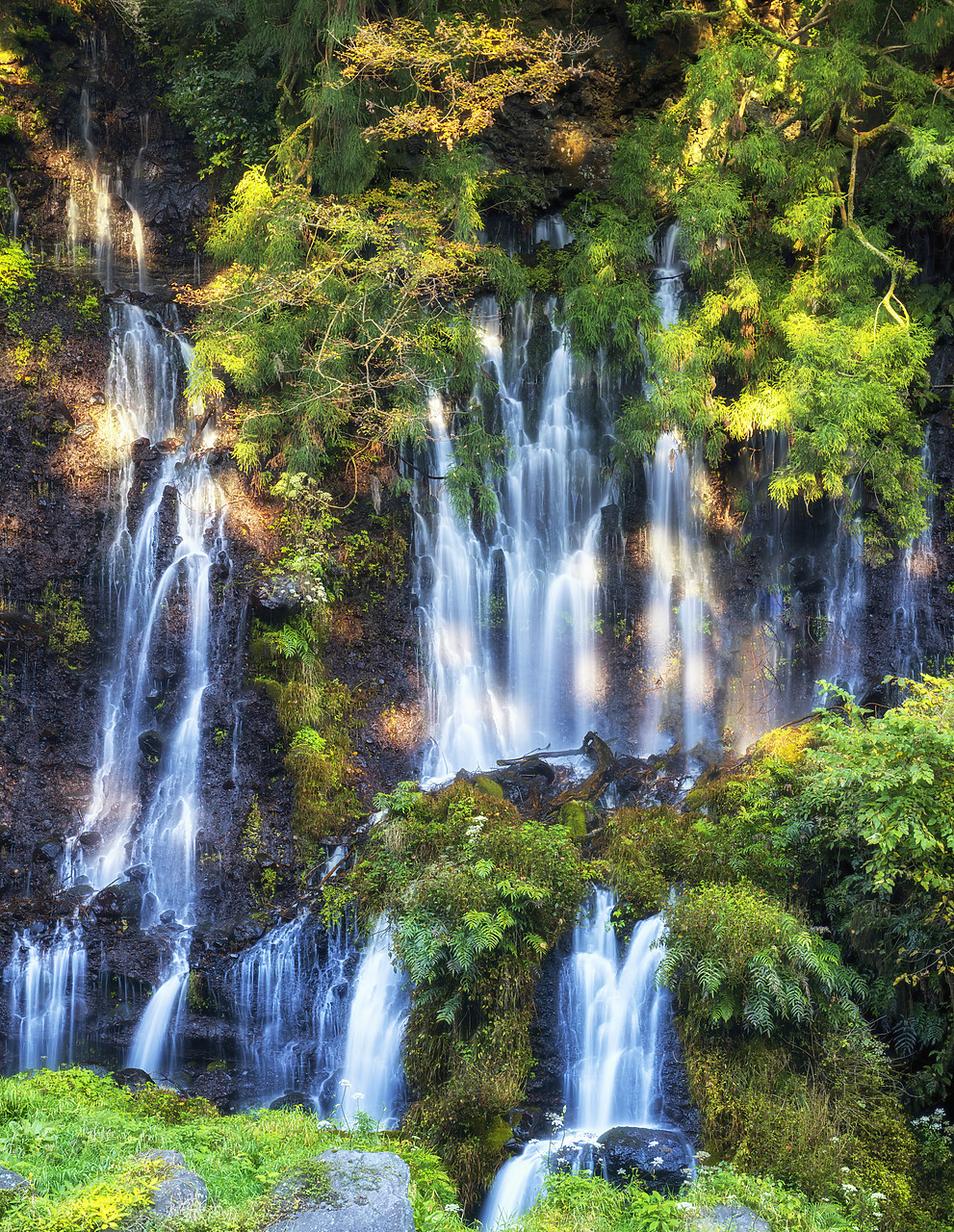 #190615-1 - Shiraito Falls, Fujinomiya, Shizuoka Prefecture, Honshu, Japan