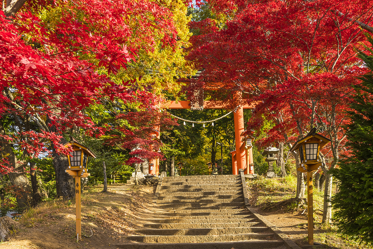 #190624-1 - Steps up to Chureito Gate in Autumn, Fujiyoshida, Yamanashi Prefecture, Japan