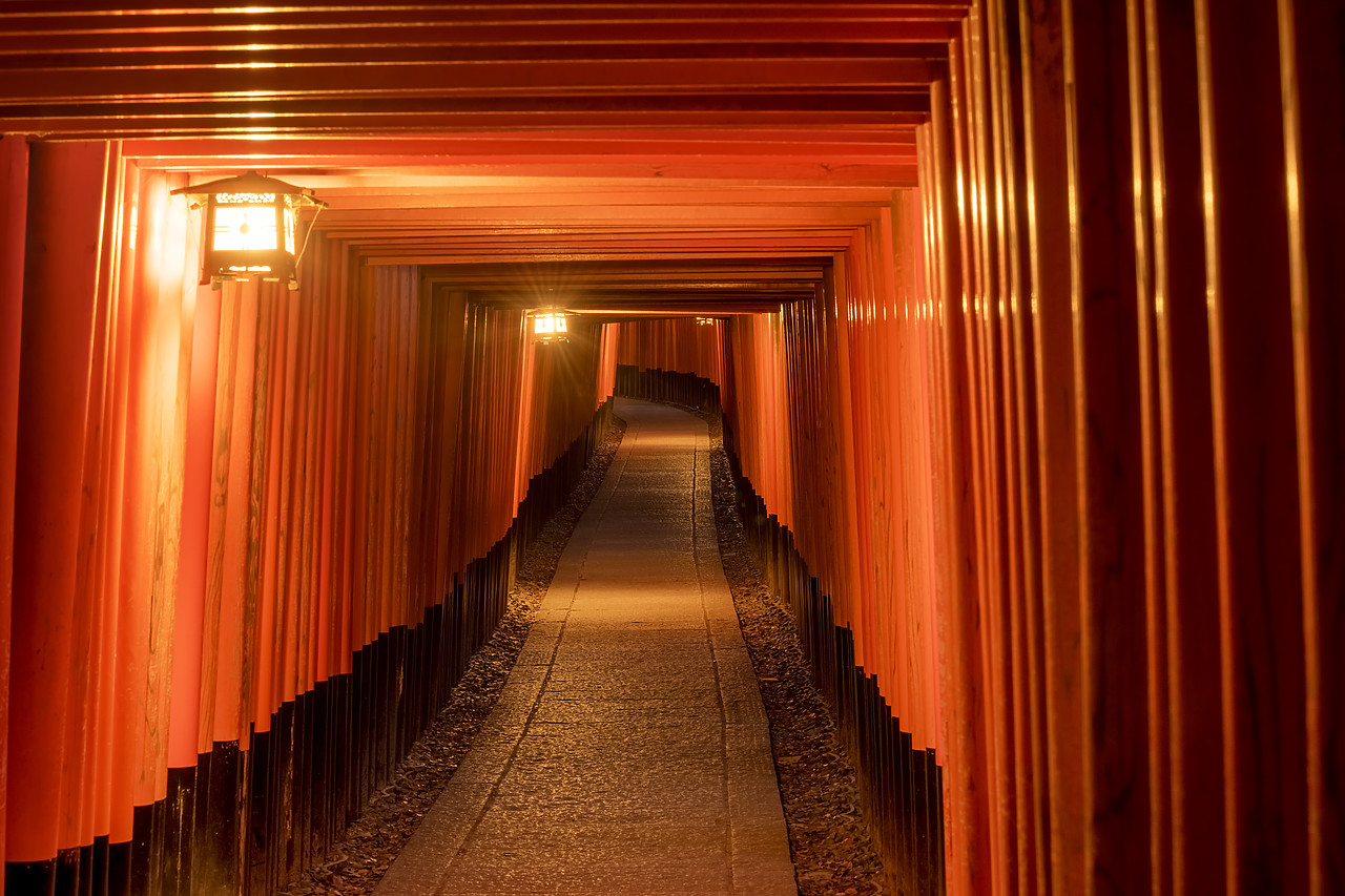 #190660-1 - Fushimi Inari shrine, Torii Gates, Kyoto, Japan