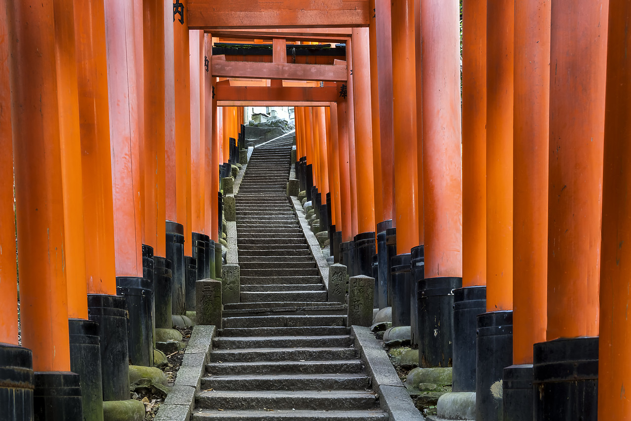 #190663-1 - Fushimi Inari shrine, Torii gates, Kyoto, Japan
