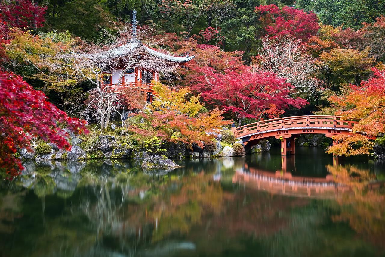 #190667-1 - Bentendo Hall & Bridge in Autumn, Daigo-ji Temple, Kyoto, Japan