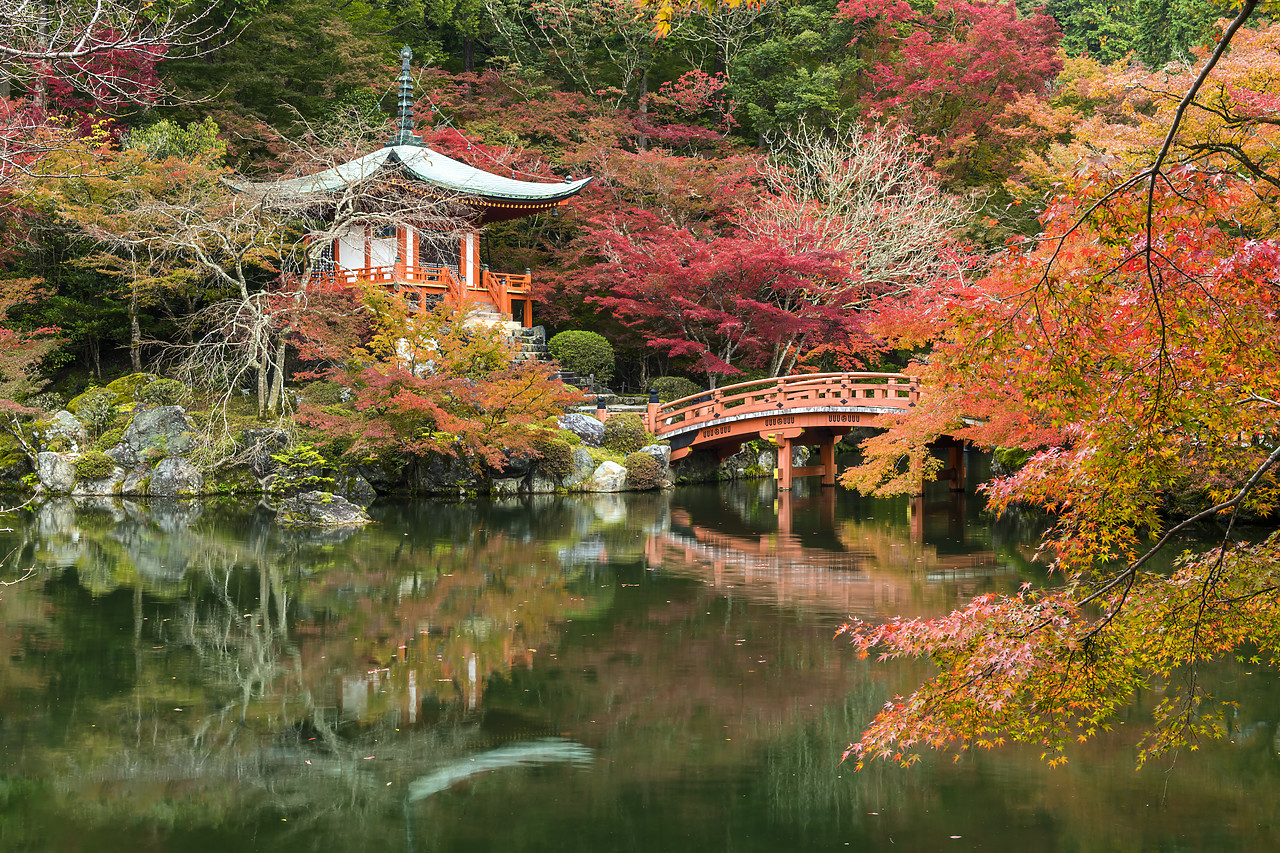 #190668-1 - Bentendo Hall & Bridge in Autumn, Daigo-ji Temple, Kyoto, Japan