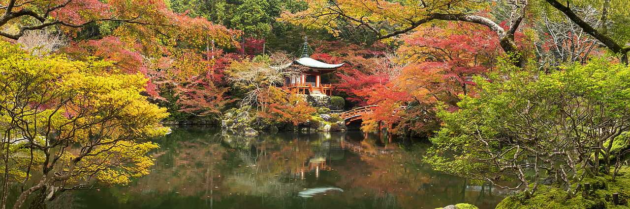 #190669-1 - Bentendo Hall & Bridge in Autumn, Daigo-ji Temple, Kyoto, Japan