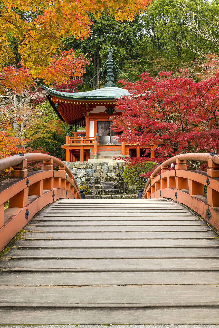 #190671-2 - Bentendo Hall & Bridge in Autumn, Daigo-ji Temple, Kyoto, Japan