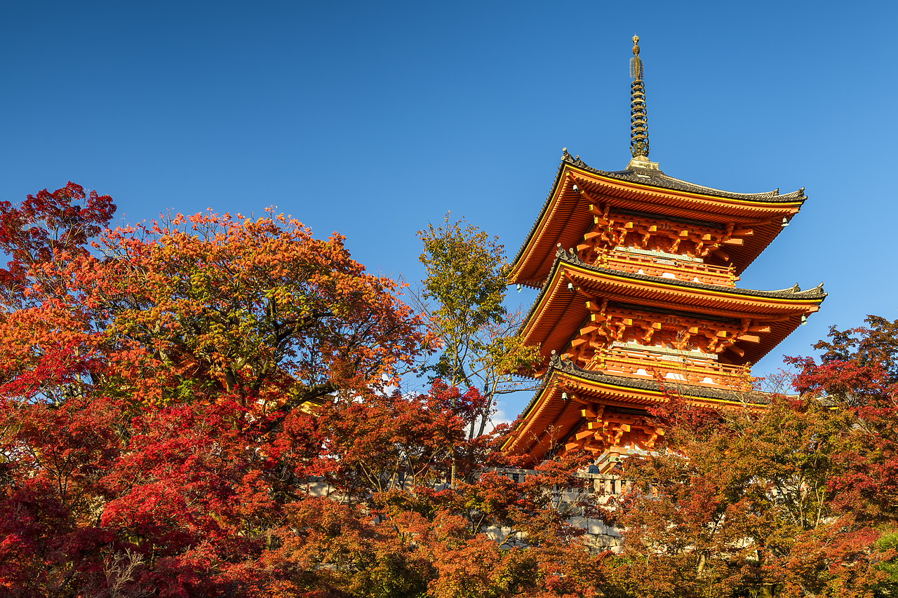 #190679-1 - Sanjunoto pagoda of Kiyomizu-dera  Temple in Autumn, Higashiyama, Kyoto, Japan