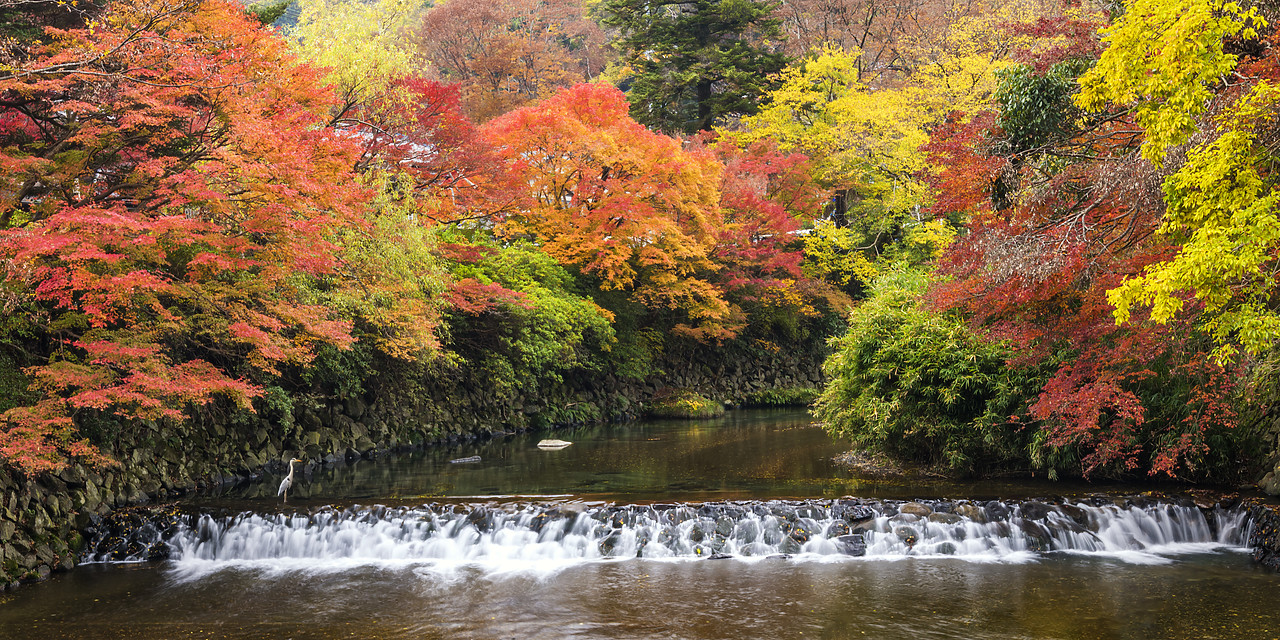 #190727-1 - Takano River in Autumn, Kyoto, Japan