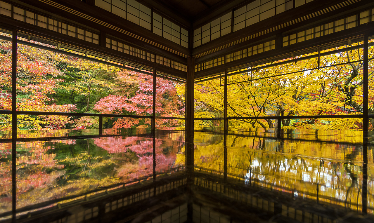 #190728-1 - Rurikoin Temple Garden Reflection, Kyoto, Japan