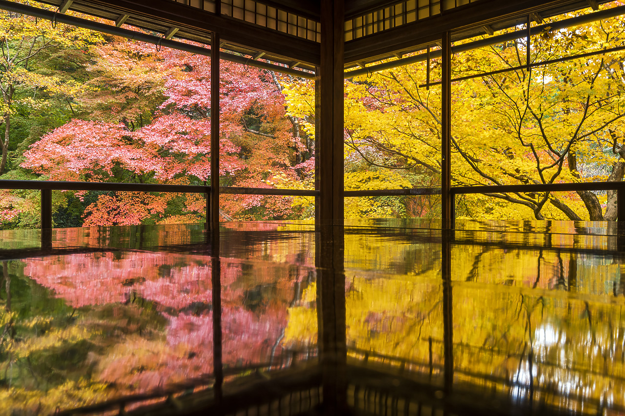 #190728-2 - Rurikoin Temple Garden Reflection, Kyoto, Japan