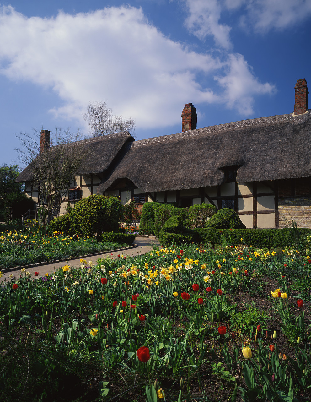 #200040-4 - Ann Hathaway's Cottage, Shottery, Warwickshire, England