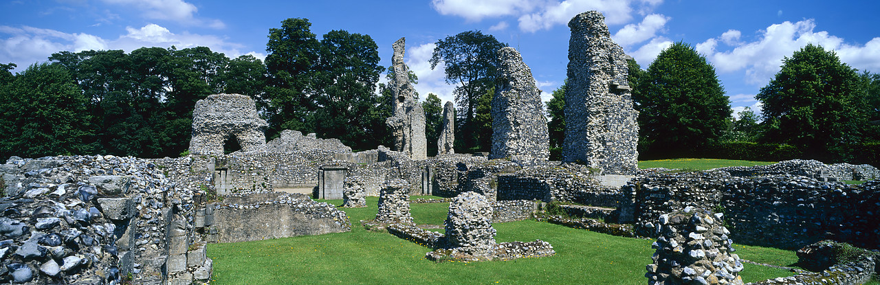 #200067-2 - Priory Ruins, Thetford, Norfolk, England