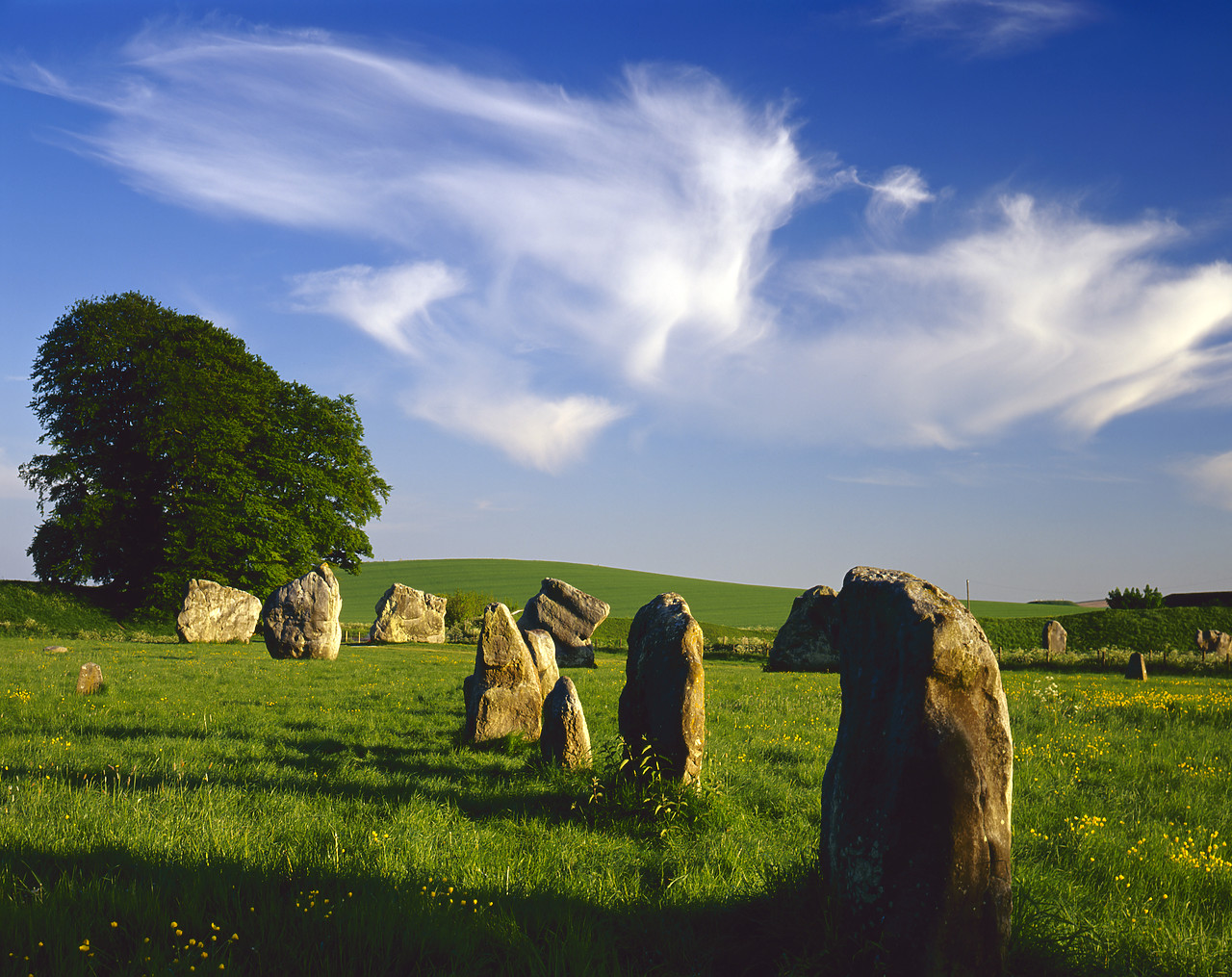 #200167-1 - The Standing Stones, Avebury, Wiltshire, England
