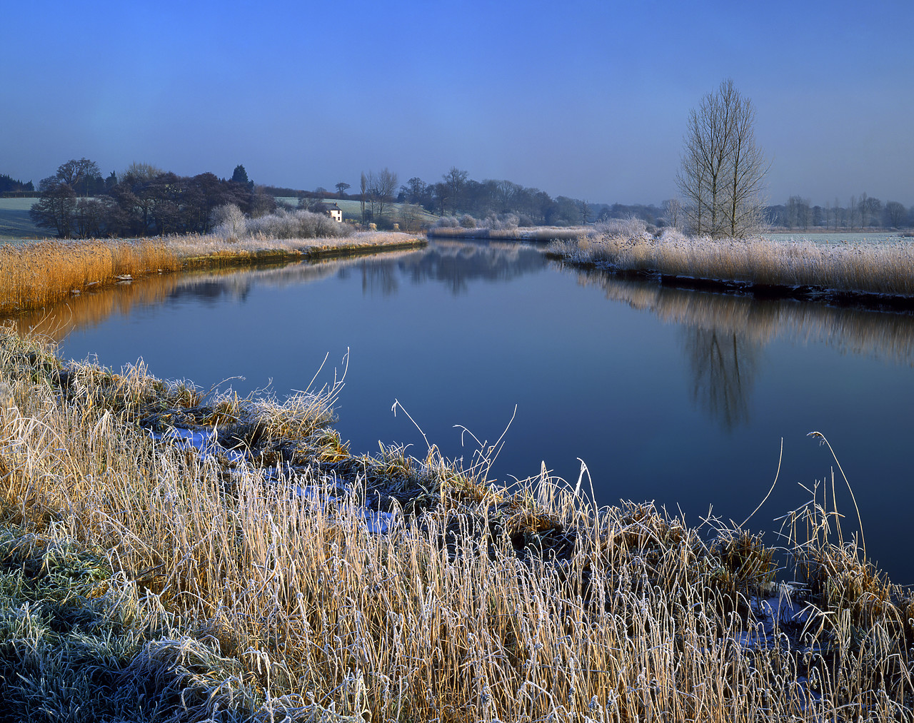 #200249-1 - Frost along River Waveney, Gillingham Marshes, Norfolk, England