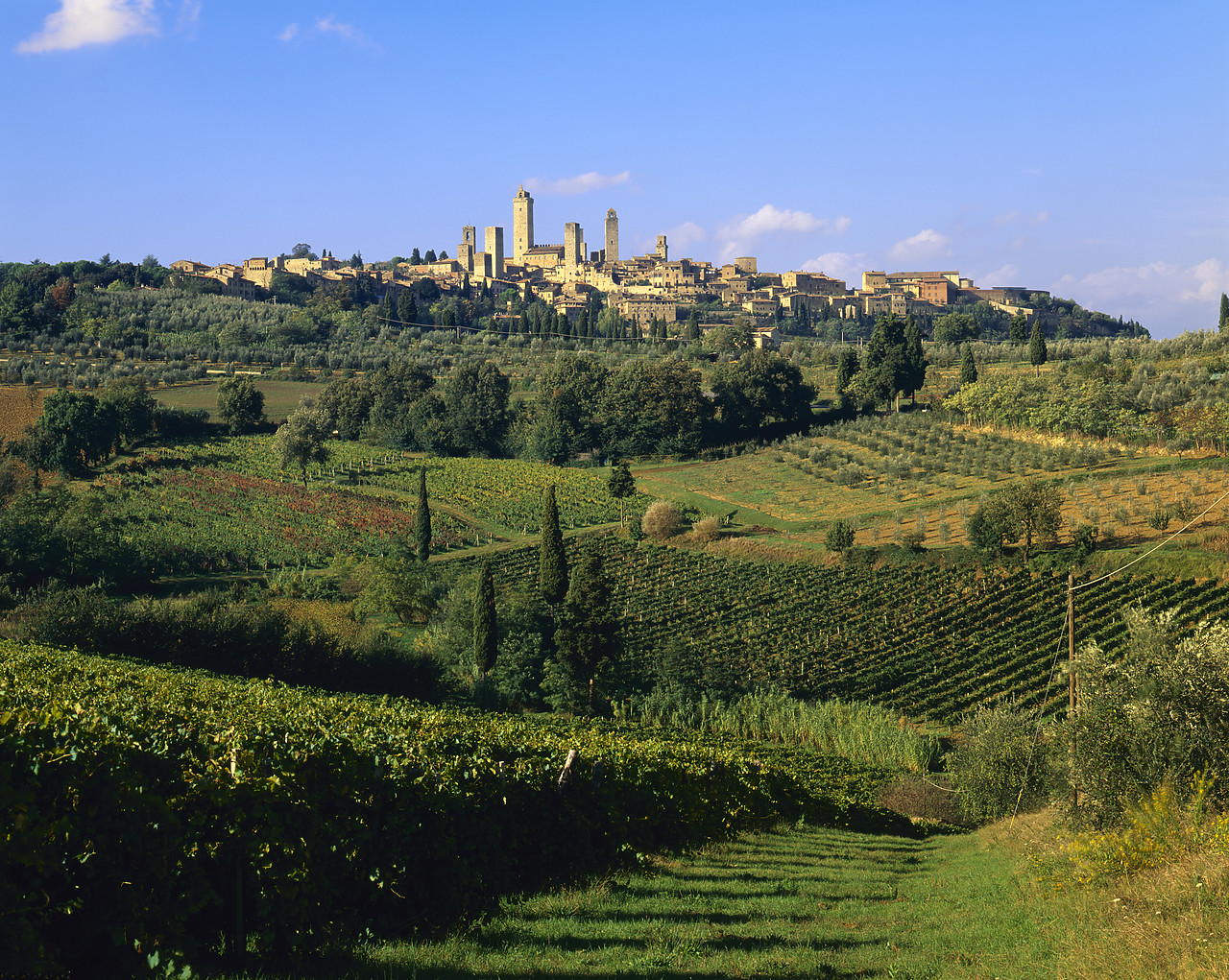 #200325-1 - San Gimignano, Tuscany, Italy