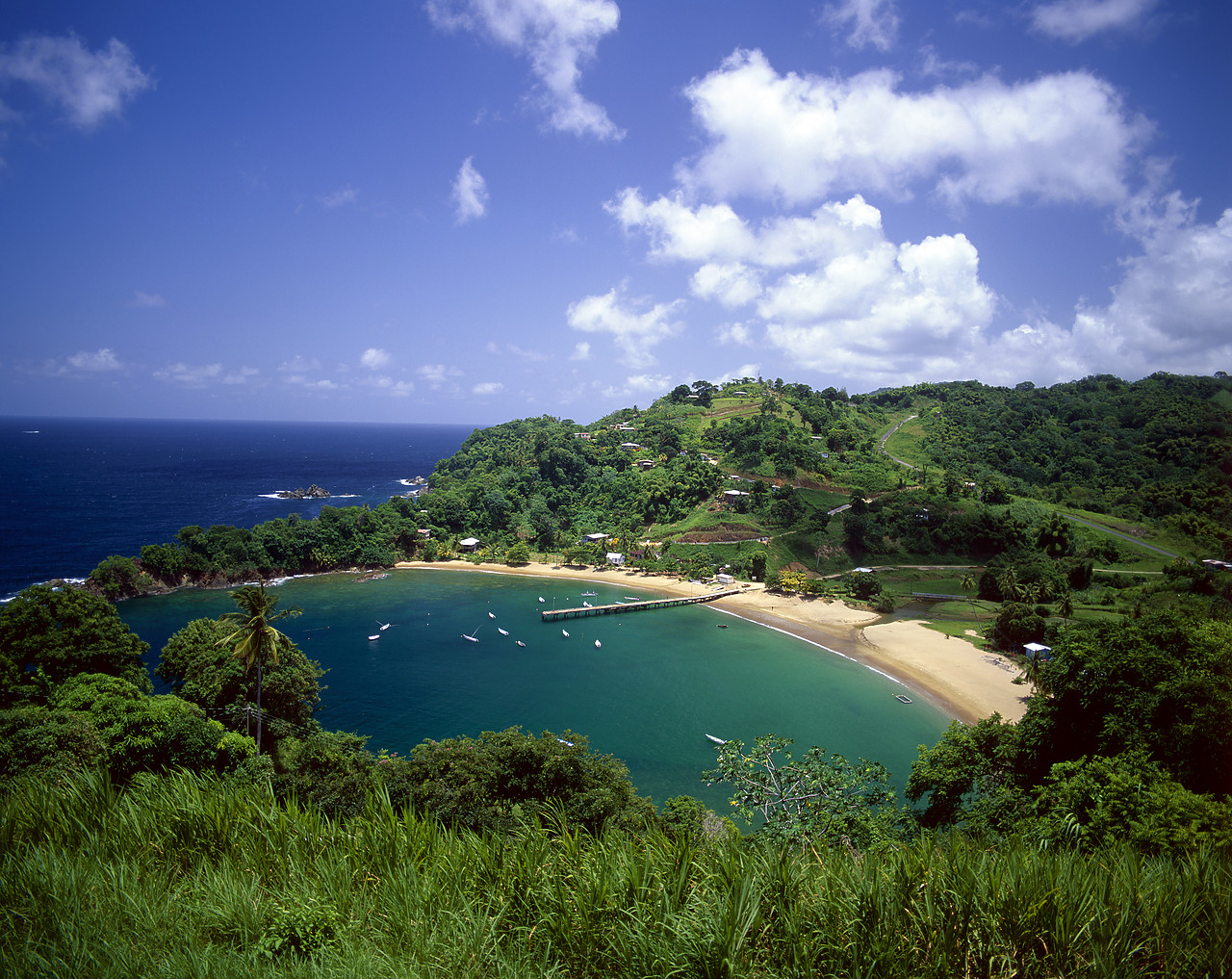 #200377-2 - View over Castara Bay, Tobago, West Indies, Caribbean