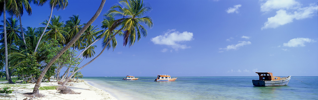 #200378-4 - Palm Trees & Boats, Pigeon Point, Tobago, West Indies