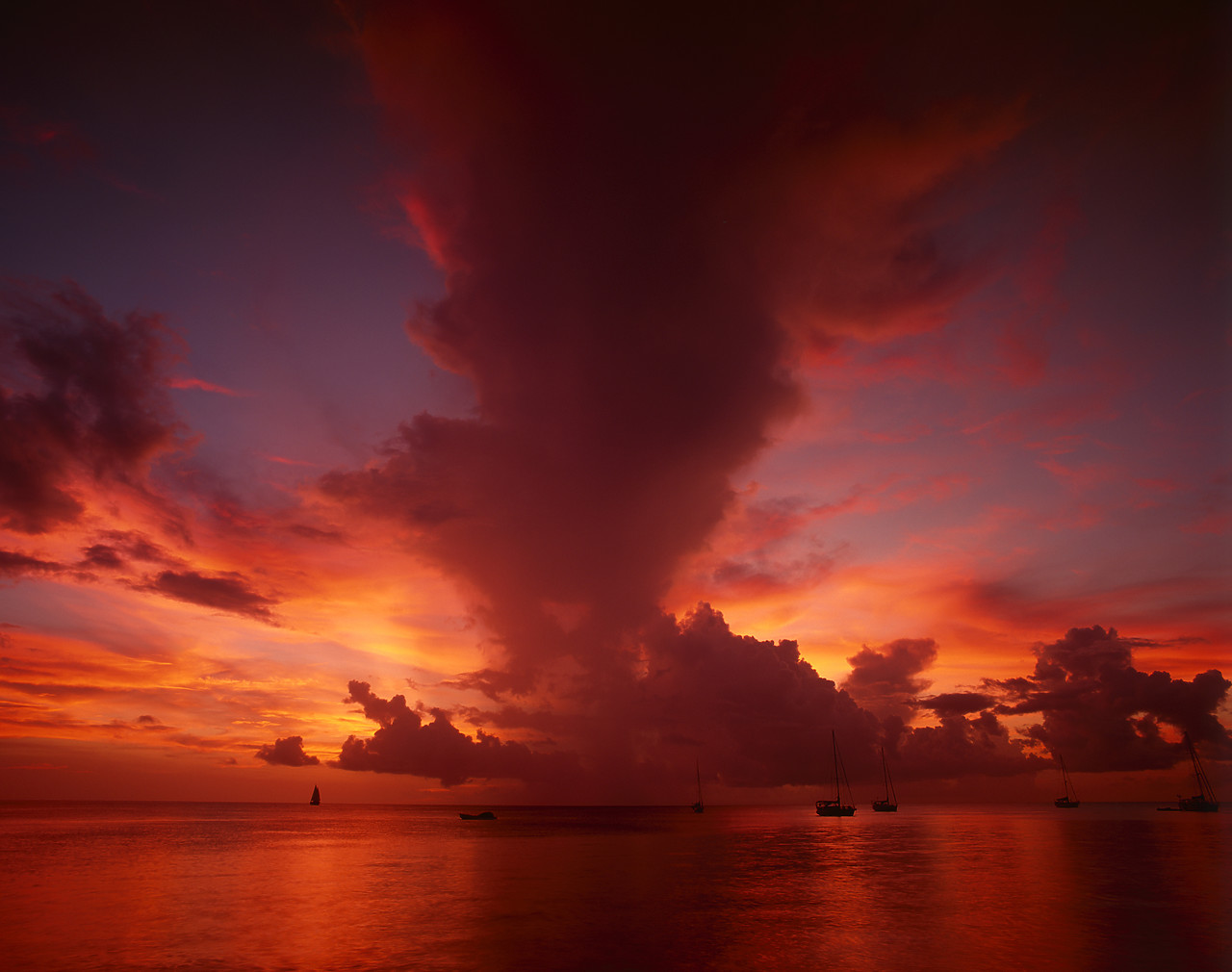 #200391-2 - Sunset over Store Bay, Tobago, West Indies, Caribbean