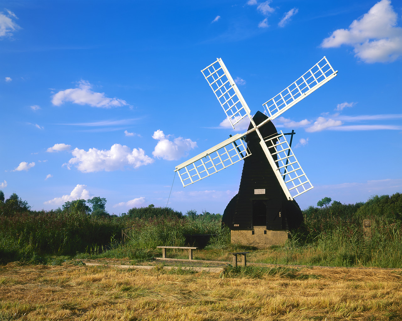 #200480-1 - Wicken Fen Windmill, Wicken, Cambridgeshire, England